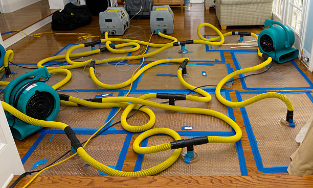 Professional Sewage Cleanup technician working in Levittown, PA